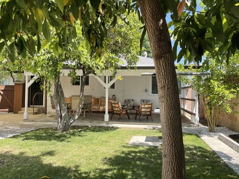 Rear Yard