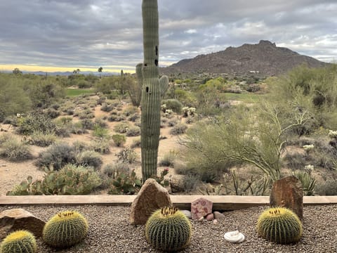 Beautiful views from our back patio, great room, kitchen and master