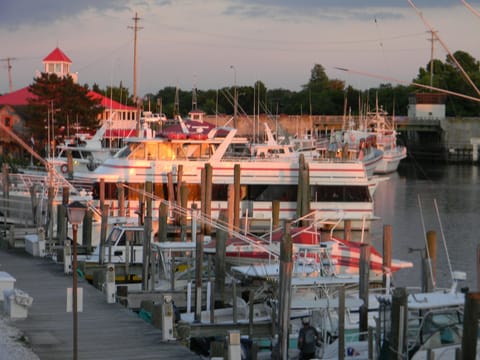 Marina