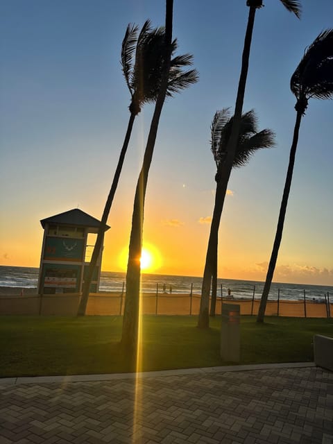 Your morning view is waiting. ☀️