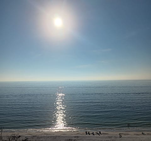 View from the balcony