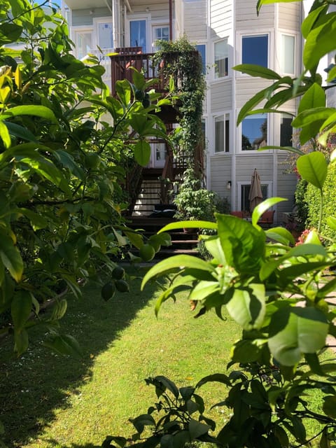 Shared Garden looking back at house