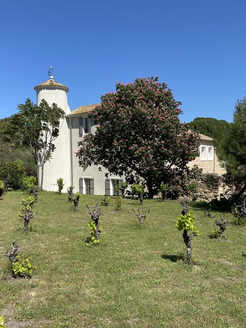 Country home surrounded by vineyards