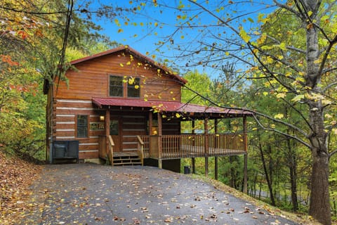 black-bear-hideaway-1