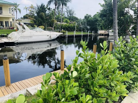 Back with canal view