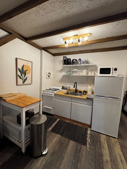 Stocked kitchen (stove, microwave, fridge, Keurig, French Press, Rice Maker..)