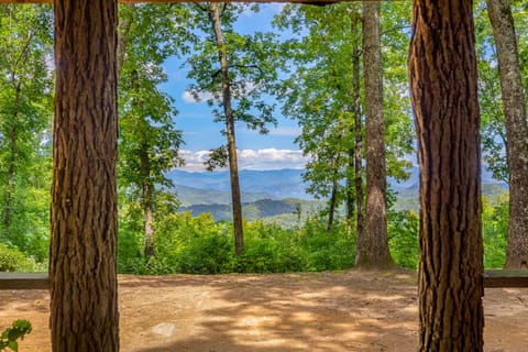 Top of hike view! ⛰️