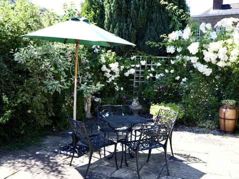 Back Garden
