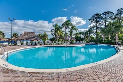 Pool / Beach 