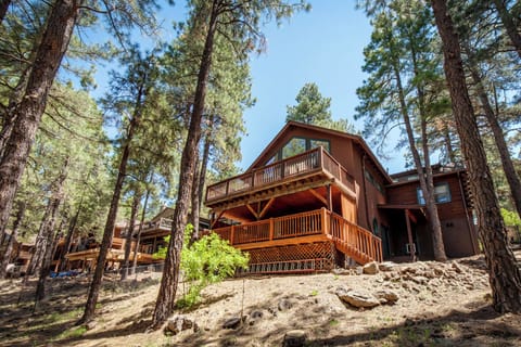 Majestic cabin among the pines