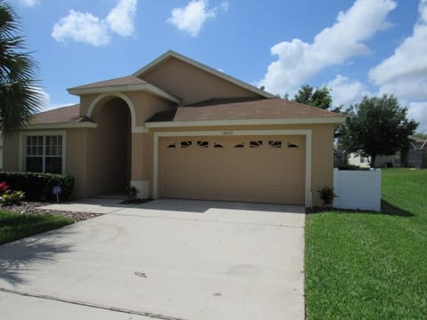 Orange Tree BHL16050