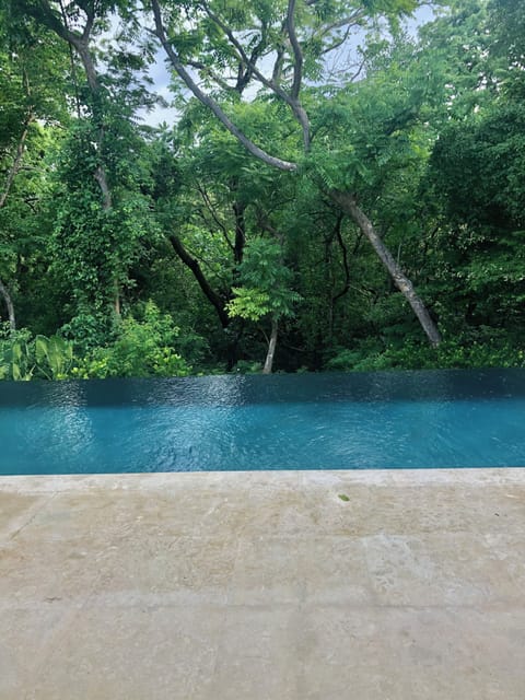 Front yard, green season