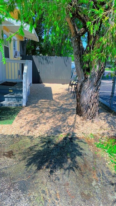 Feedback is important, tree and uneven pavers removed & replaced