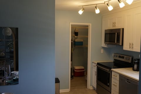 Part of Kitchen & walk in pantry closet