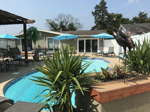 Pool and back yard
