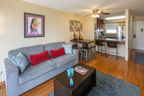 Living room area with brand new comfy pull out queen sofa bed.