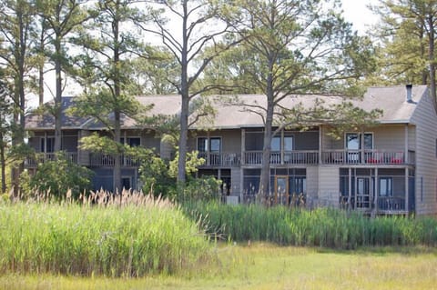 Wetland and Creek Views 