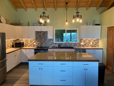 Huge island for entertaining 