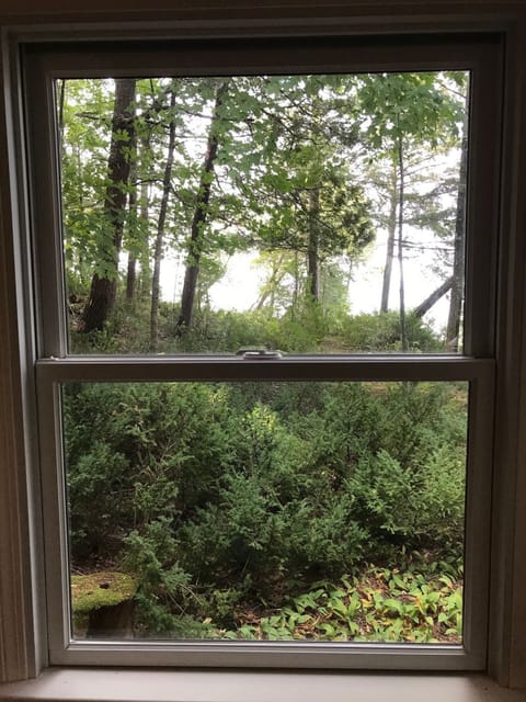 The views out the windows are magnificent. 