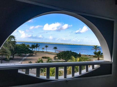 what a beautiful view to wake up to! 