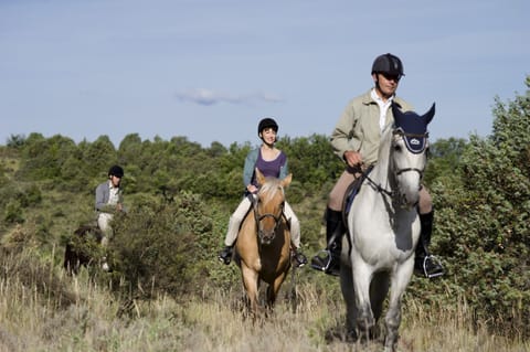 Enjoy horseback riding through this lovely region.
