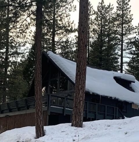 Front of Cabin with large deck 