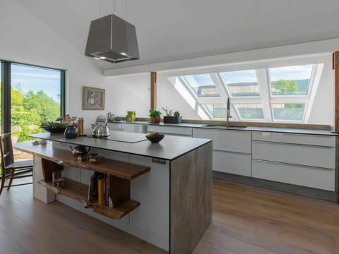 Cabinetry, Furniture, Countertop, Plant, Tap, Kitchen, Interior Design, Window, Wood, Kitchen Stove