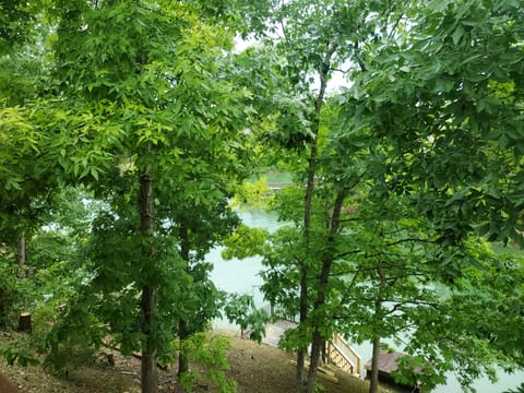 View of lake and dock from top deck