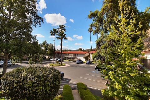Plan easy arrivals with clear parking and leafy surroundings.