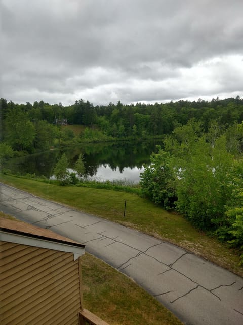 Pond View great fishing