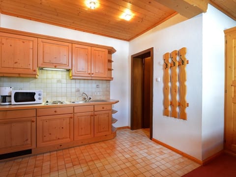 Studio, Dusche, WC, 1 Wohnschlafraum - Haus Friederike - Brunner Sylvia Apartment in Ellmau