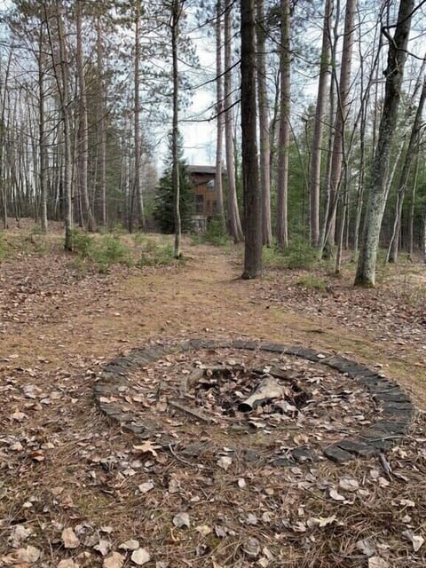 View back up from dock in early springtime   showing fire circle. 