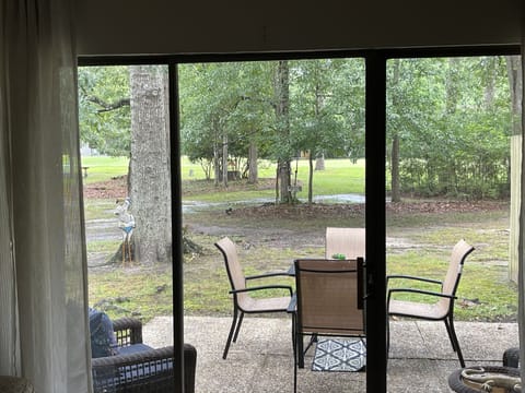 Look how pretty! So serene and peaceful.