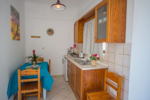 Spiros and Polyxeni Apartment 3 Afionas Kitchen And Dining Area 