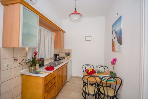 Spiros and Polyxeni Apartment 6 Afionas Kitchen And Dining Area 