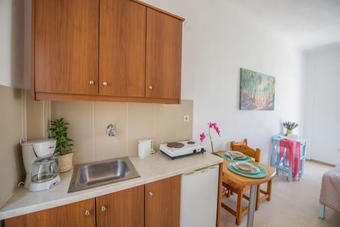 Spiros and Polyxeni Studio 2 Afionas Interior