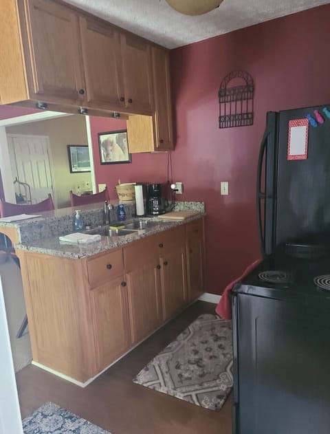 Kitchen 
Full size stove, refrigerator, microwave. There is also a Gas grill 