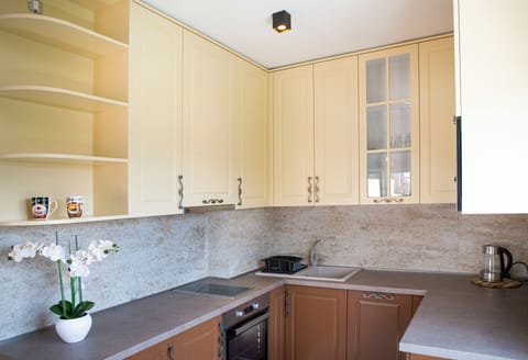 Full size kitchen, fully equipped with an unique design