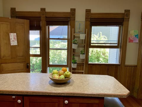 Kitchen counter looking out at flowering bushes