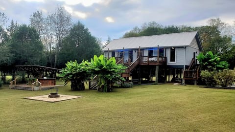 Backyard View of Jungalow 