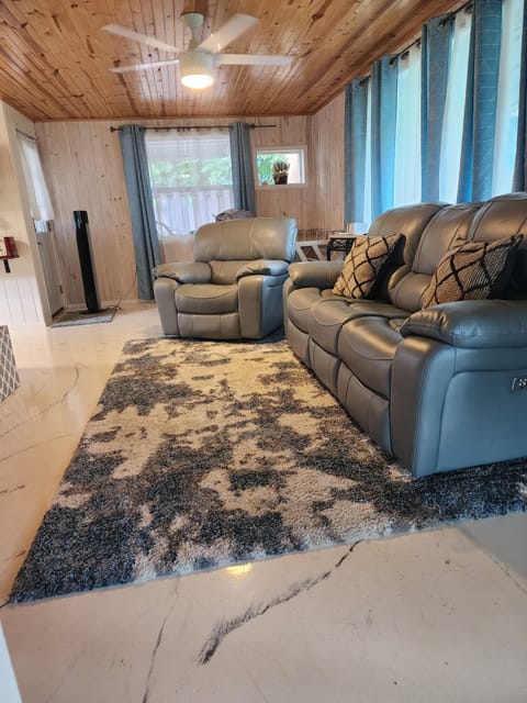 living room,  leather recliner 