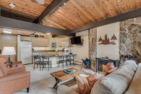 Living room with wood-burning fireplace