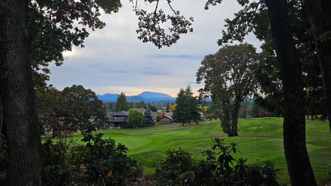 The view