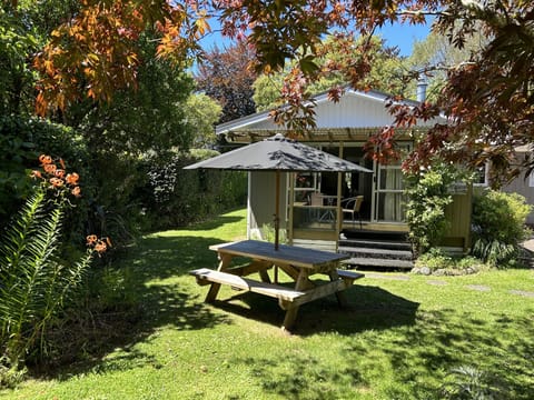 Back garden