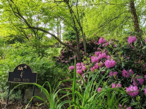Entrance to Driveway