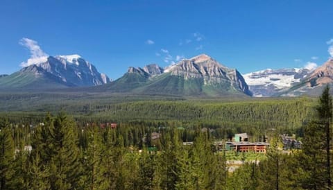 Breathe in the fresh mountain air as lush trees frame a breathtaking landscape.