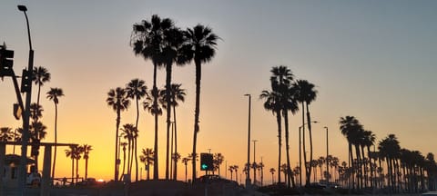 1.5 miles to the Beaches and Huge Park with views