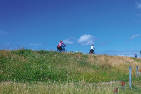 Ferienwohnung/app. für 2 Gäste mit 35m² in Klausdorf / Fehmarn Ostsee Apartment in Ostholstein