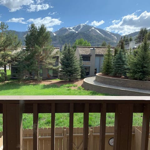 Amazing views of Bald Mountain!