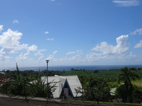 Beach/ocean view